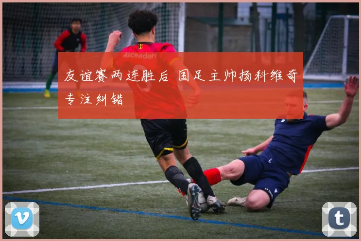 友谊赛两连胜后 国足主帅扬科维奇专注纠错