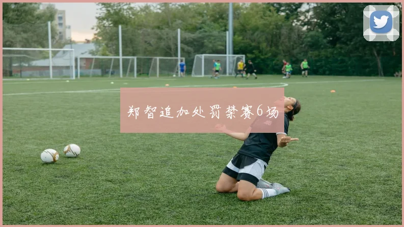 郑智追加处罚禁赛6场